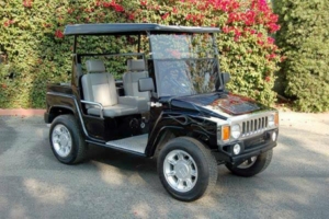 affordable golf cart rental, golf cart rent pembroke pine